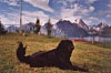 12.8.2001 Matthias Khne: Bobby am Nordkap