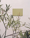 22.8.2001 Galerie Schtte: Dorothee Joachim