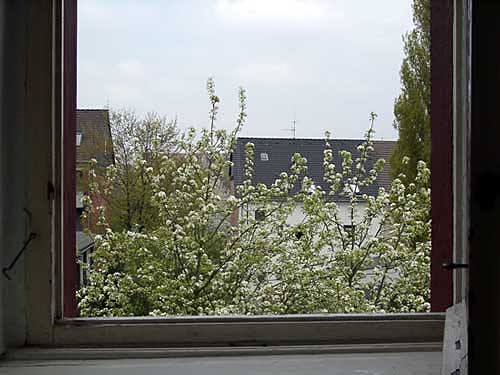zurck