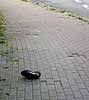 20.5.2002 B. Prenzel: Spuren