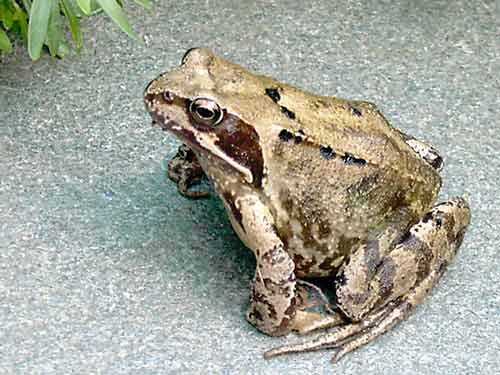 zurck