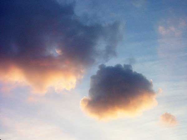 zurck