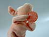 1.7.2002 W. Kreimeyer: Fleisch